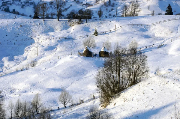 Karpatengebirgstal Mit Neuschnee Bedeckt Majestätische Landschaft Ukraine Europa — Stockfoto
