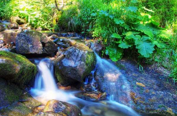 Paisaje Otoñal Con Río Bosque — Foto de Stock