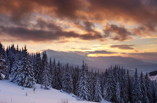 Zonsopgang Winter Bergen Zonsopgang Karpaten Oekraïne — Stockfoto
