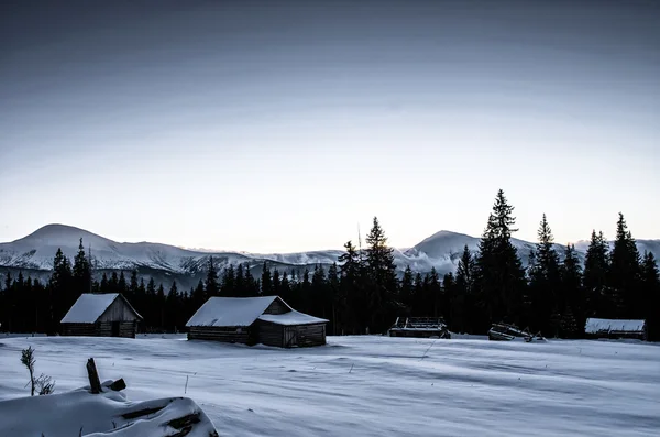 Karpaten Bergdal Bedekt Met Verse Sneeuw Majestueuze Landschap Oekraïne Europa — Stockfoto