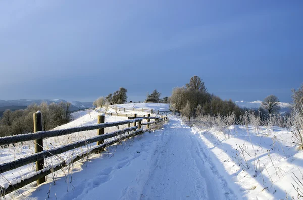 Vale Montanha Dos Cárpatos Coberto Com Neve Fresca Majestosa Paisagem — Fotografia de Stock