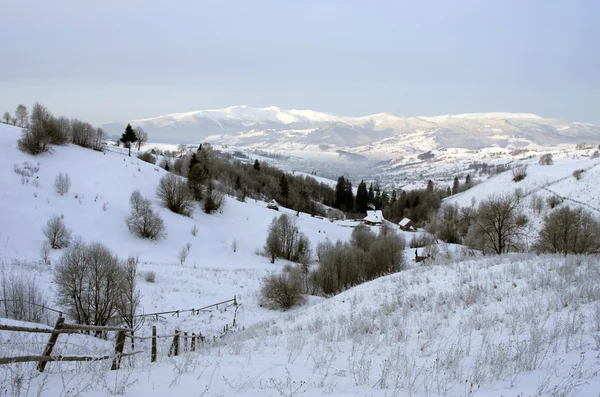 Vale Montanha Dos Cárpatos Coberto Com Neve Fresca Majestosa Paisagem — Fotografia de Stock