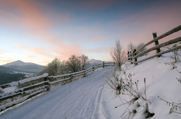 Карпатская Горная Долина Покрыта Свежим Снегом Величественный Пейзаж Украина Европа Лицензионные Стоковые Изображения