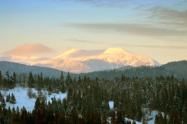 Vallée Des Carpates Couverte Neige Fraîche Paysage Majestueux Ukraine Europe — Photo