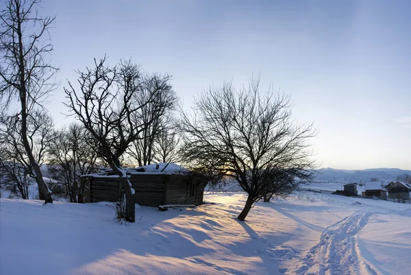 Karpat Dağ Vadisi Taze Karla Kaplı Görkemli Manzara Ukrayna Europe — Stok fotoğraf