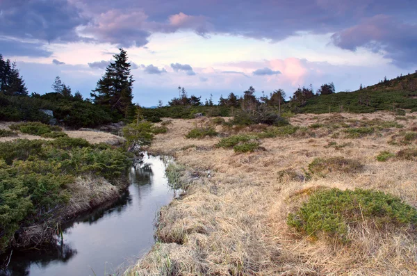 Beauty Northern Nature Mountain River Spring Landscape — Stock Photo, Image