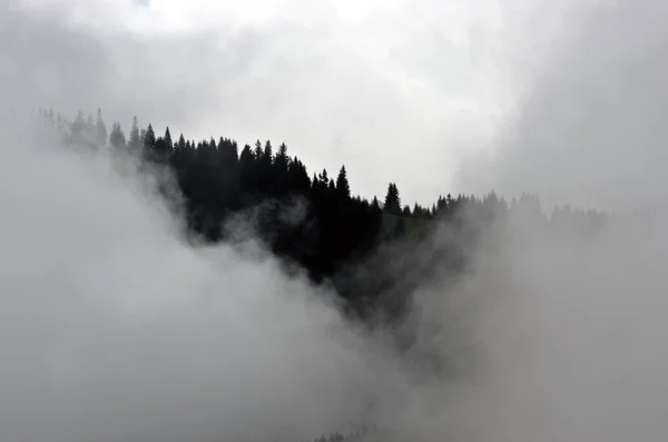 Paisagem Montanha Incrível Com Nevoeiro Denso Montanhas Cárpatas — Fotografia de Stock