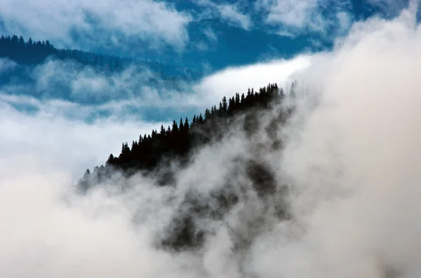 Fantastiska Berglandskap Med Tät Dimma Karpaterna — Stockfoto