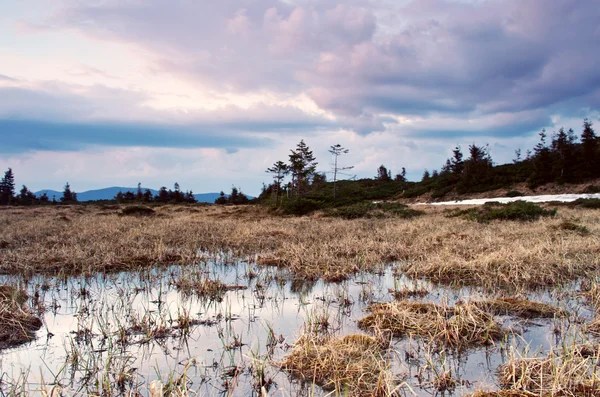 Paisaje Primaveral Con Río Bosque Cielo Nublado —  Fotos de Stock