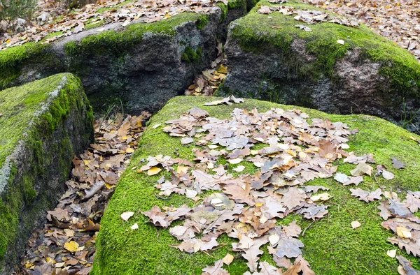 Pueblo Piedra Tracto Región Zhytomyr Pueblo Rudnya Zamyslovichskaya — Foto de Stock