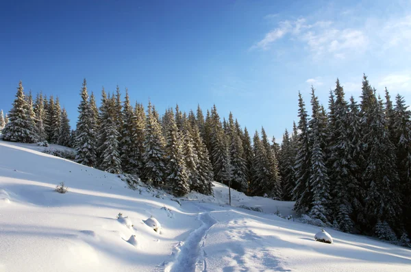 Majestuoso Paisaje Invierno Que Brilla Por Luz Del Sol Mañana — Foto de Stock