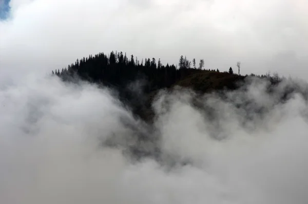 Increíble Paisaje Montaña Con Densa Niebla Montañas Cárpatas — Foto de Stock