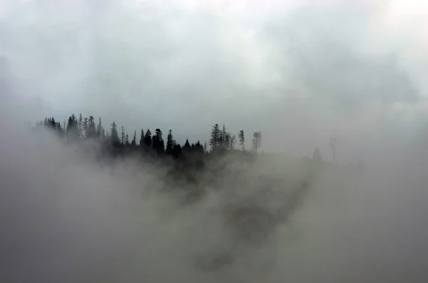 Verbazingwekkend Berglandschap Met Dichte Mist Karpaten — Stockfoto