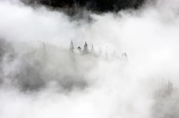 Atemberaubende Berglandschaft Mit Dichtem Nebel Karpaten — Stockfoto