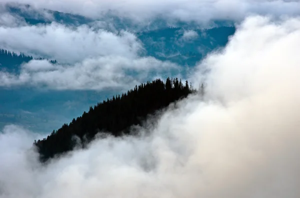 Incredibile Paesaggio Montano Con Fitta Nebbia Montagne Carpazie — Foto Stock