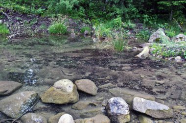 Yaz aylarında nehir bağlayın. Karpathien Dağı.