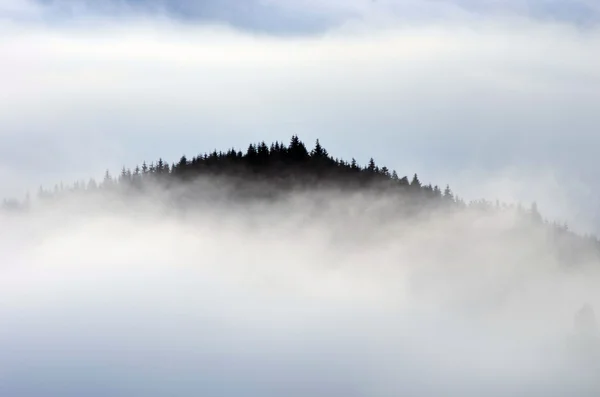 Incroyable Paysage Montagneux Avec Brouillard Dense Les Carpates — Photo