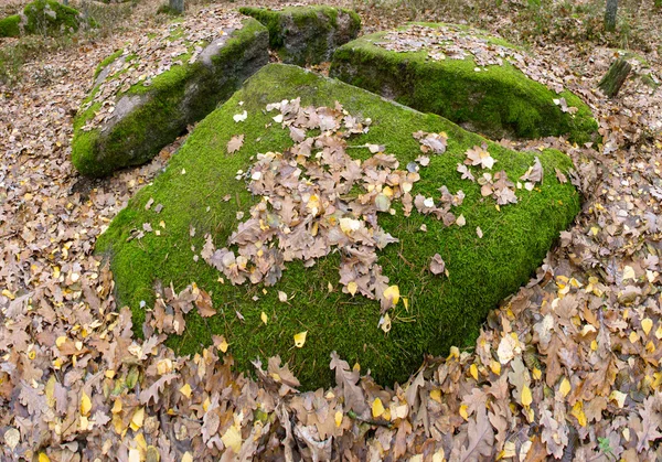 Pueblo Piedra Tracto Región Zhytomyr Pueblo Rudnya Zamyslovichskaya — Foto de Stock