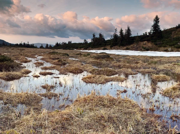 Bellezza Della Natura Del Nord Fiume Montagna Nel Paesaggio Primaverile — Foto Stock