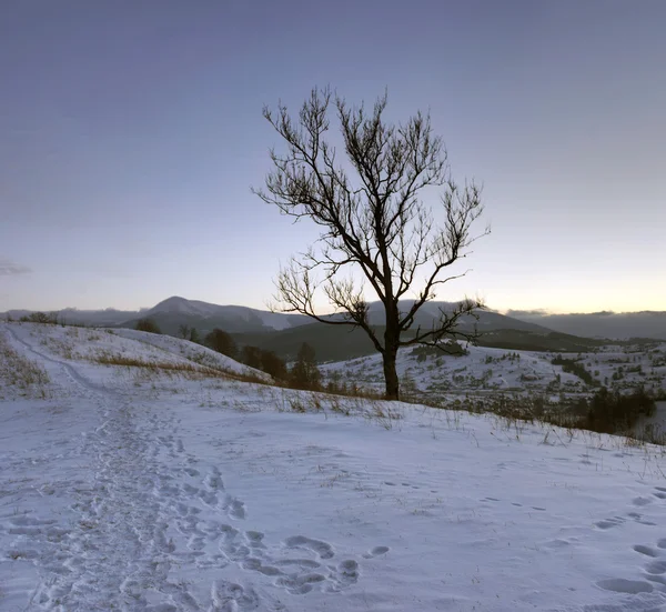 Nascer Sol Nas Montanhas Inverno Nascer Sol Nas Montanhas Dos — Fotografia de Stock