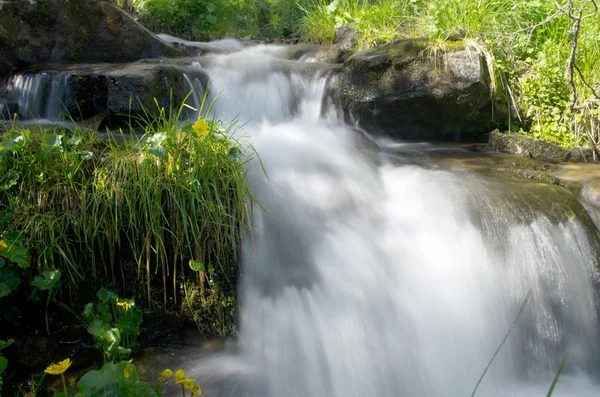 Landschaft Mit Fluss Wald — Stockfoto