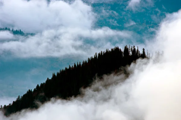 Amazing Mountain Landscape Dense Fog Carpathian Mountains — Stock Photo, Image