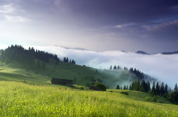 Abendliche Hochplateau-Landschaft (Karpaten, Ukraine) — Stockfoto