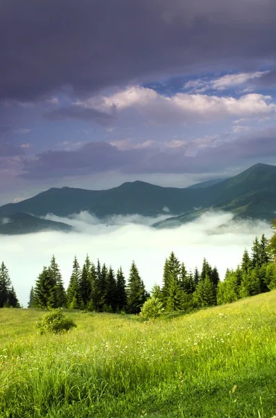 Abendliche Hochplateau-Landschaft (Karpaten, Ukraine) — Stockfoto