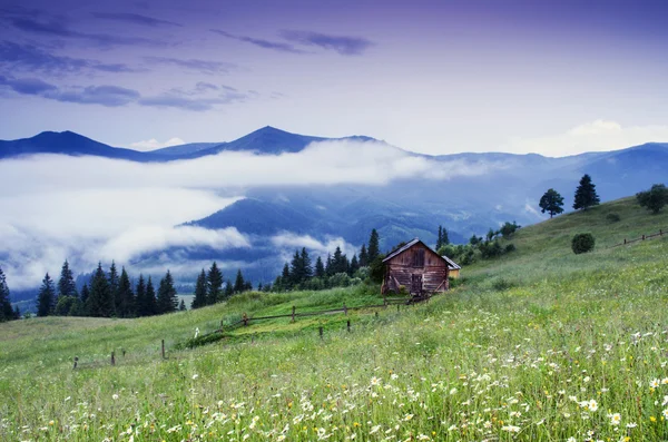 Kvällen berg platå landskap (Karpaterna, Ukraina) — Stockfoto