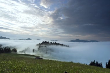 akşam Dağı Yaylası peyzaj (Karpat, Ukrayna)