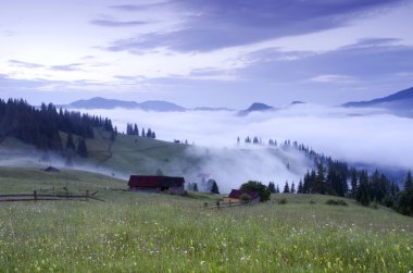 akşam Dağı Yaylası peyzaj (Karpat, Ukrayna)