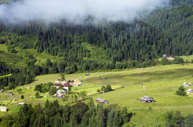 akşam Dağı Yaylası peyzaj (Karpat, Ukrayna)