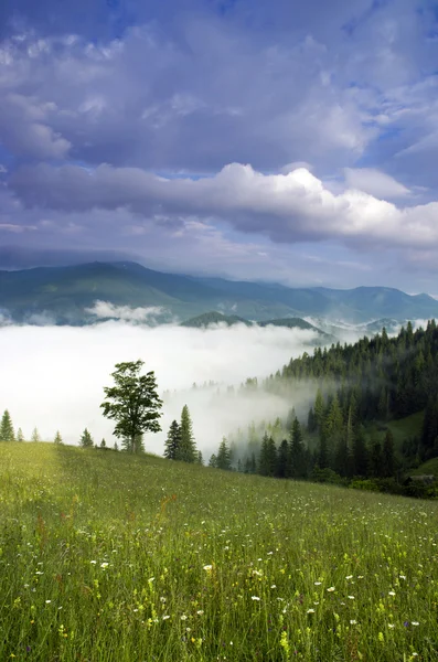 Avond plateau berglandschap (Karpaten, Oekraïne) — Stockfoto