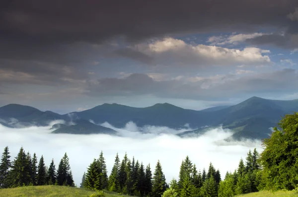 Večer horské plošině krajina (karpatský, Ukrajina) — Stock fotografie