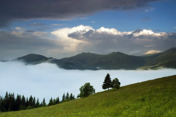 Kvällen berg platå landskap (Karpaterna, Ukraina) — Stockfoto