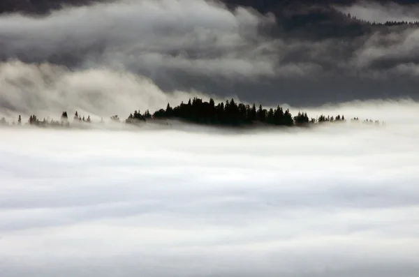 Kvällen berg platå landskap (Karpaterna, Ukraina) — Stockfoto