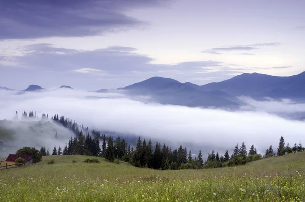 Kvällen berg platå landskap (Karpaterna, Ukraina) — Stockfoto