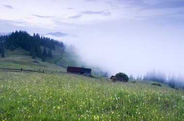 akşam Dağı Yaylası peyzaj (Karpat, Ukrayna)