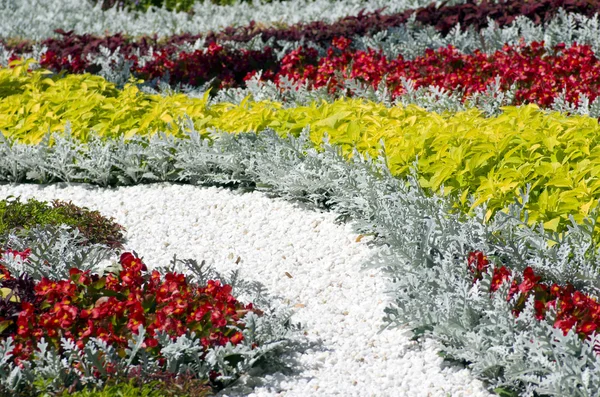 Blomma utställning — Stockfoto