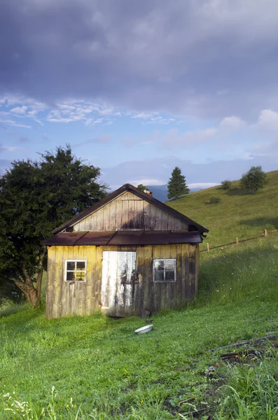 Akşam Dağı Yaylası peyzaj (Karpat, Ukrayna) — Stok fotoğraf