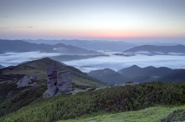 Evening mountain plateau landscape (Carpathian, Ukraine) — Stock Photo, Image