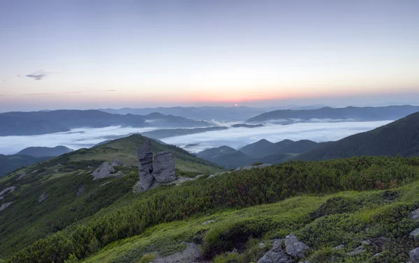 Evening mountain plateau landscape (Carpathian, Ukraine) — Stock Photo, Image