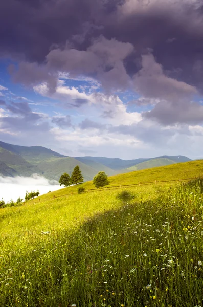 Вечернее горное плато (Карпаты, Украина) ) Лицензионные Стоковые Фото