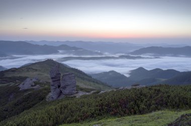 akşam Dağı Yaylası peyzaj (Karpat, Ukrayna)
