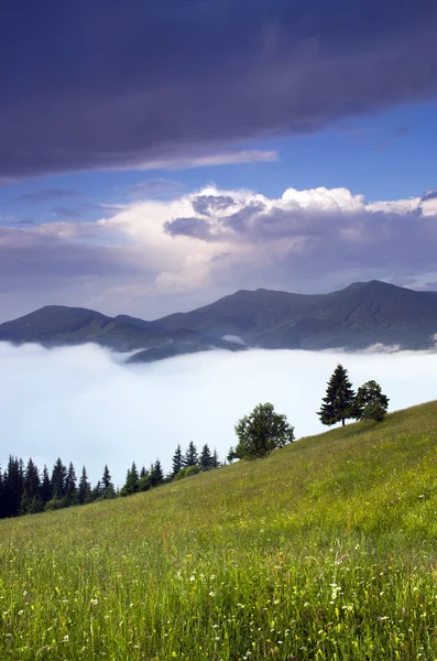 Večer horské plošině krajina (karpatský, Ukrajina) — Stock fotografie