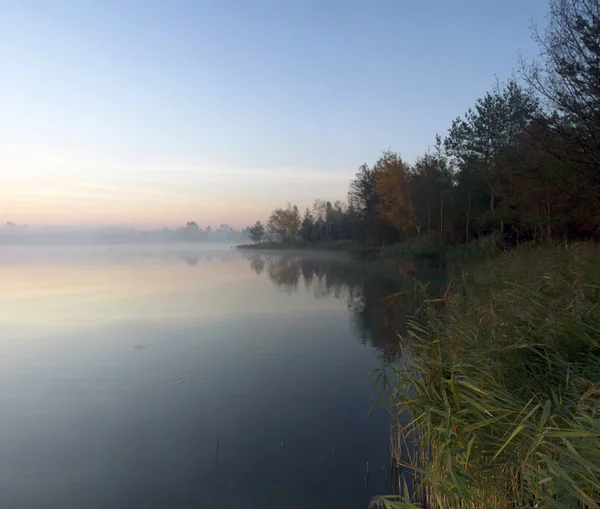 Mlhavé ráno krajina v podzimním parku u jezera. Vinobr — Stock fotografie