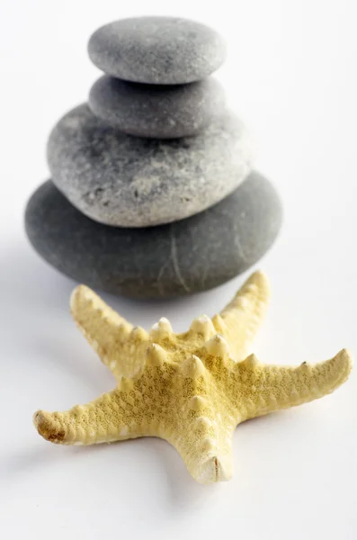 Pila de piedras y estrella de mar primer plano sobre fondo blanco — Foto de Stock