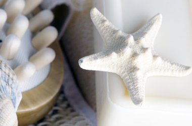 Sağlık spa ayar beyaz arka plan üzerinde