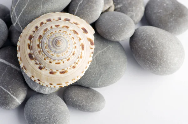 Éléments de spa naturels- coquillage avec coquille d'étoile et pierres sur le blanc — Photo