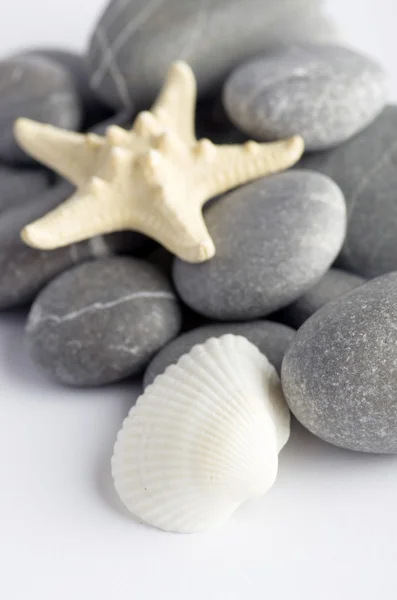 Naturliga spa element-seashell med starshell och stenar på whit — Stockfoto